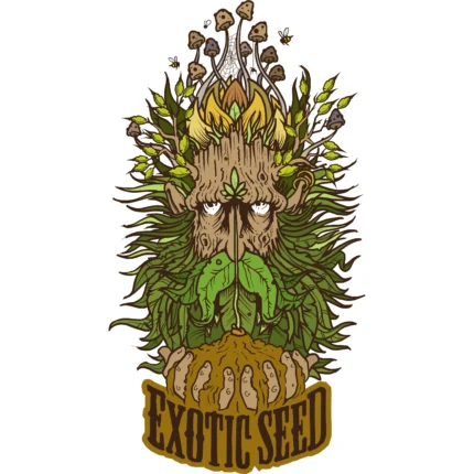 EXOTIC SEED - GREEN GUMMY FEM | 5 SEEDS