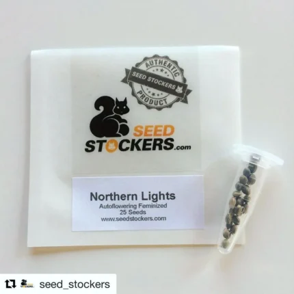 SEEDSTOCKERS - CBD 1:1 SILVER LIME HAZE AUTOFLOWER FEM | 25 SEMI