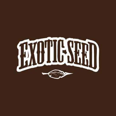 EXOTIC SEED - SPICY BITCH FEM