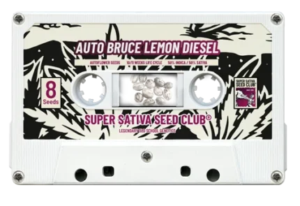 SUPER SATIVA SEED CLUB - AUTO BRUCE LEMON DIESEL FEM