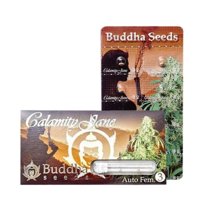 BUDDHA SEEDS - CALAMITY JANE AUTO FEM