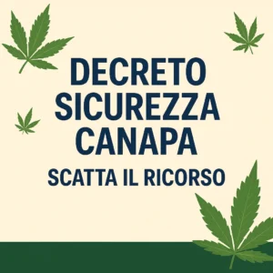 Immagine con foglie di canapa e testo "Decreto Sicurezza Canapa - Scatta il Ricorso", a rappresentare il ricorso legale contro il decreto.