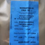 SEEDS OF HEMP VAR. CARMAGNOLA CE | 0.250 Kg - Image 2