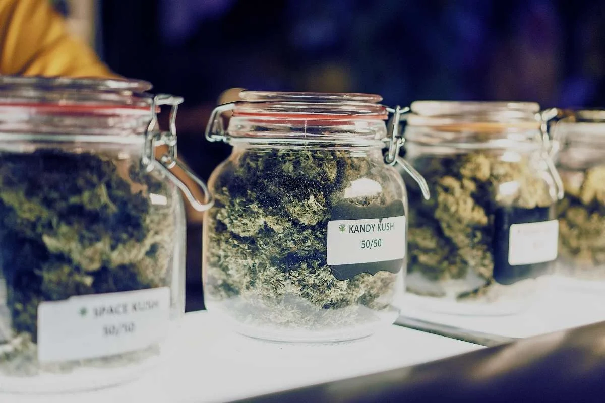 Barattoli di vetro con cime di cannabis in concia