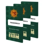 BARNEY'S FARM - TRAINWRECK FEM - immagine 2