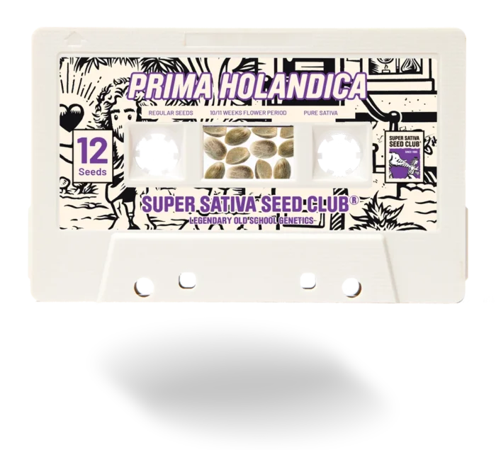 CLUB DE SEMILLAS SUPER SATIVA - PRIMA HOLANDICA REG - Imagen 1