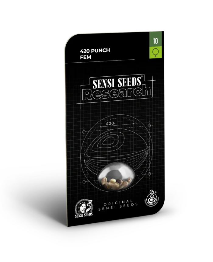SENSI SEEDS RESEARCH - 420 PUNCH FEM | 3 SEMI Disponibili fino a fine scorte - immagine 1
