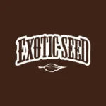 EXOTIC SEED - GREEN GUMMY FEM | 5 SEEDS - Image 2