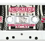 SUPER SATIVA SEED CLUB - AUTO CREEPER FEM | 8 SEEDS Available while stocks last