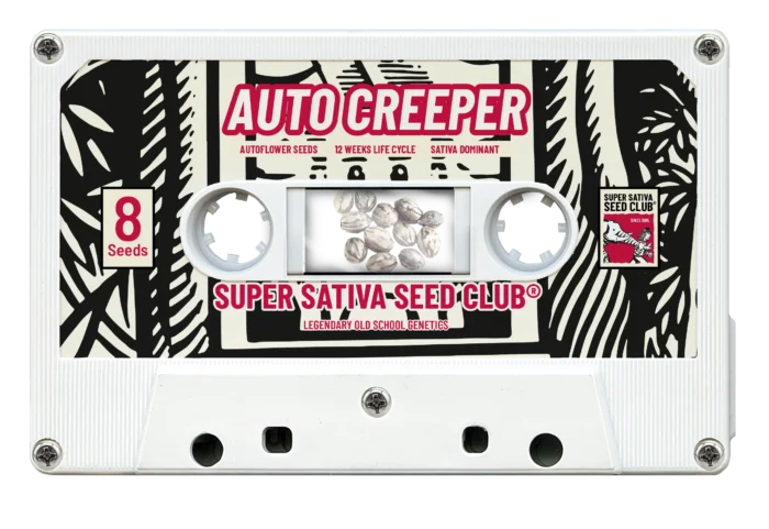 SUPER SATIVA SEED CLUB - AUTO CREEPER FEM | 3 SEMI - immagine 1