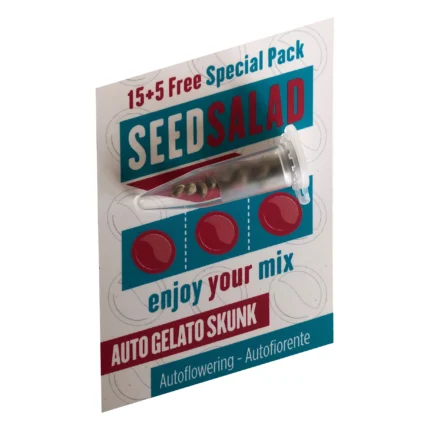 SEEDSALAD - AUTO ICE CREAM SKUNK FEM (USA STRAIN)