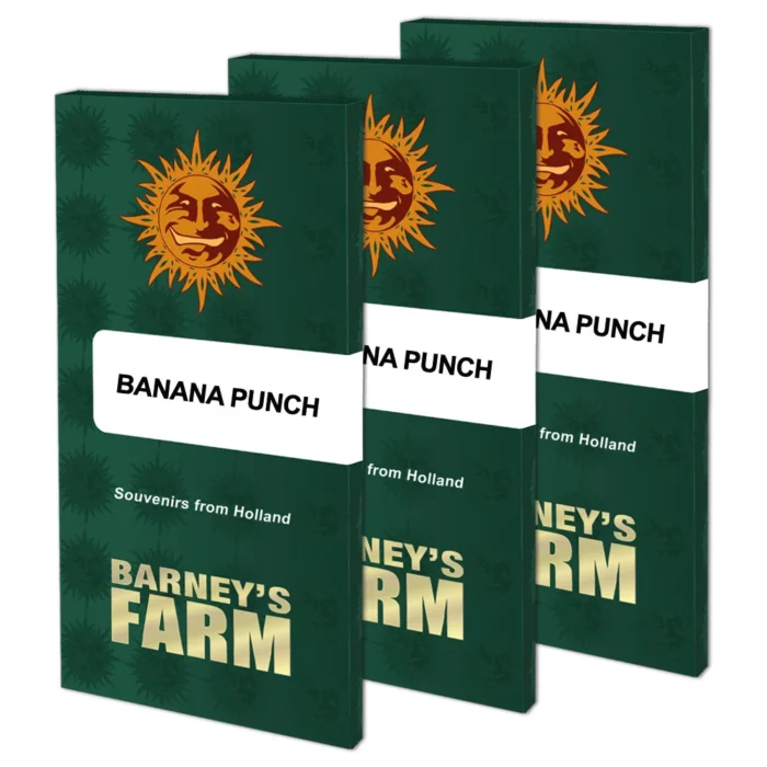BARNEY'S FARM - BANANA PUNCH FEM Disponible hasta fin de existencias - Imagen 2