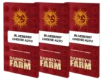 BARNEY'S FARM - BLUE CHEESE AUTO FEM Disponibili fino a fine scorte - immagine 2