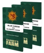BARNEY'S FARM - BLUE CHEESE FEM - immagine 2