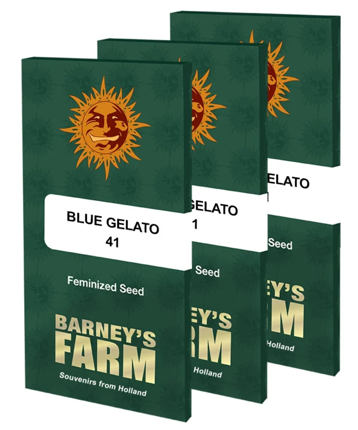 BARNEY'S FARM - BLUE ICE CREAM 41 FEM – Image 2