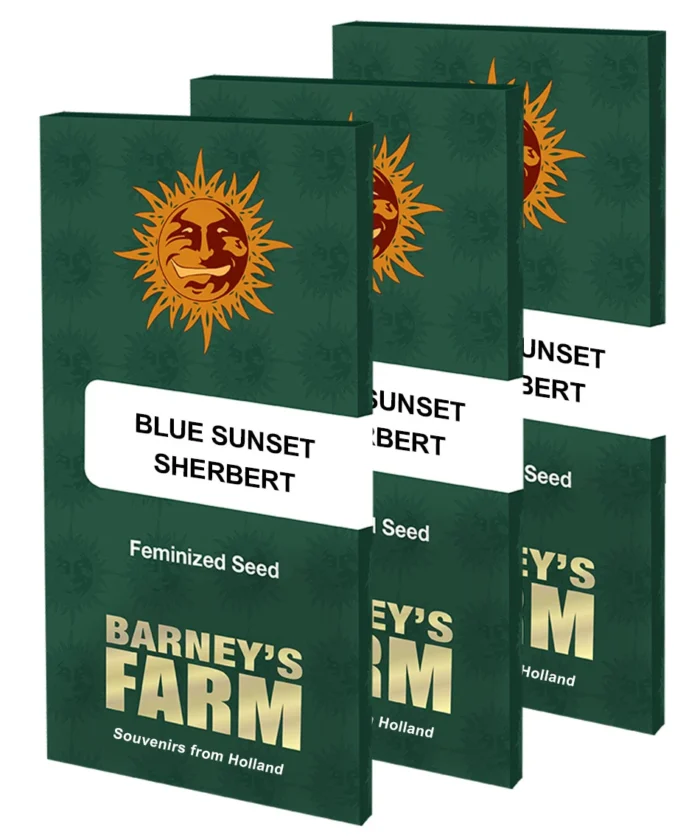 BARNEY'S FARM - SORBETE DE ATARDECER AZUL FEM - Imagen 2