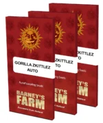 BARNEY'S FARM - GORILLA ZKITTLEZ AUTO FEM - immagine 2