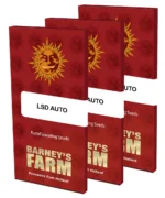 BARNEY'S FARM - LSD AUTO FEM – Bild 2