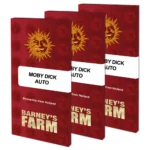 BARNEY'S FARM - MOBY DICK AUTO FEM – Bild 2