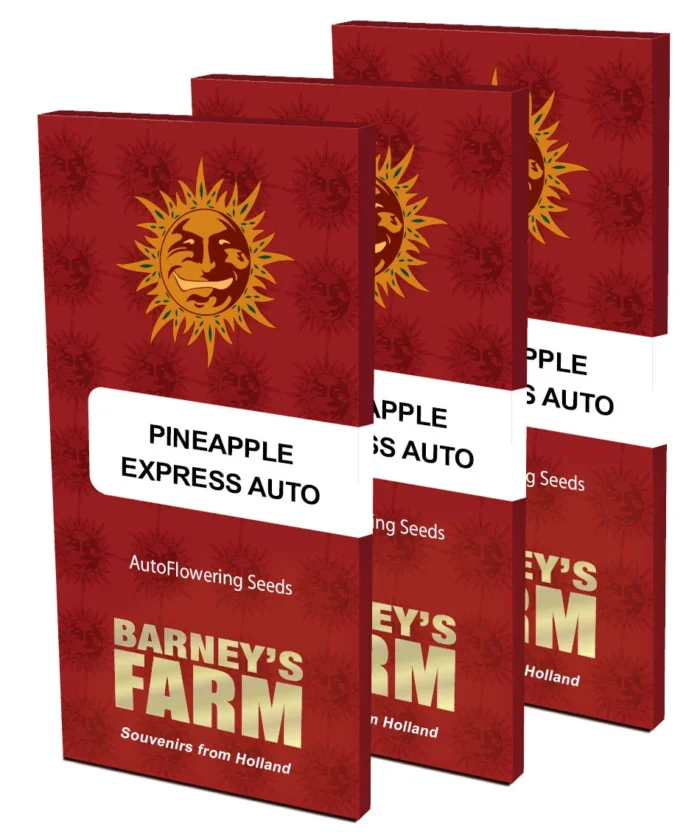 BARNEY'S FARM - PINEAPPLE EXPRESS AUTO FEM - immagine 2