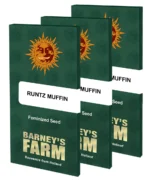 BARNEY'S FARM - RUNTZ MUFFIN FEM Disponibili fino a fine scorte - immagine 2
