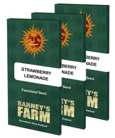 BARNEY'S FARM - ERDBEERLIMONADE FEM – Bild 3