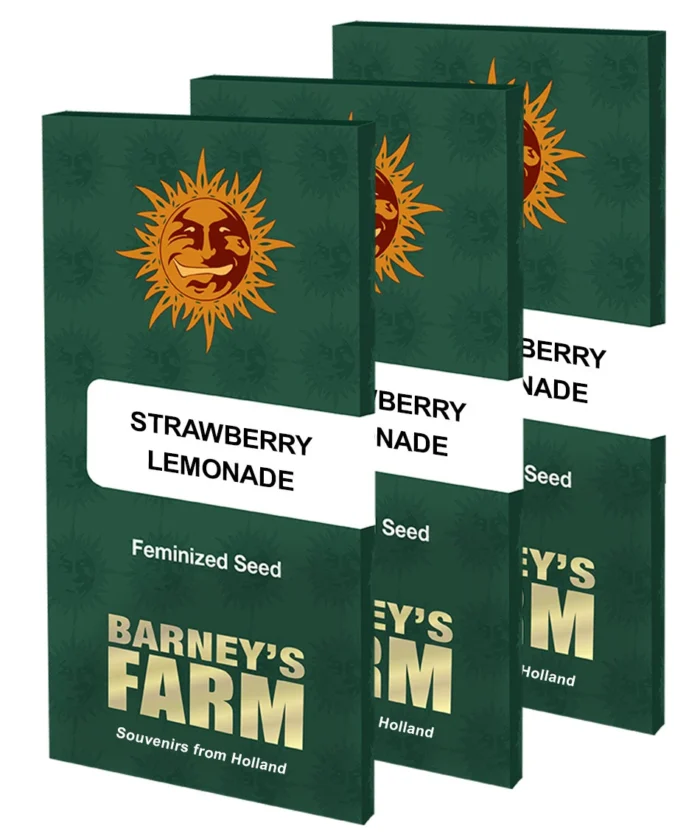 BARNEY'S FARM - STRAWBERRY LEMONADE FEM - Image 3