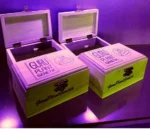GURU PLANT GENETIK - BEATNI KUSH FEM | 6 SEMILLAS EN CAJA DE MADERA - Imagen 2
