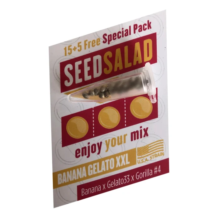 SEEDSALAD - BANANA ICE CREAM XXL FEM (USA STRAIN) - Image 1