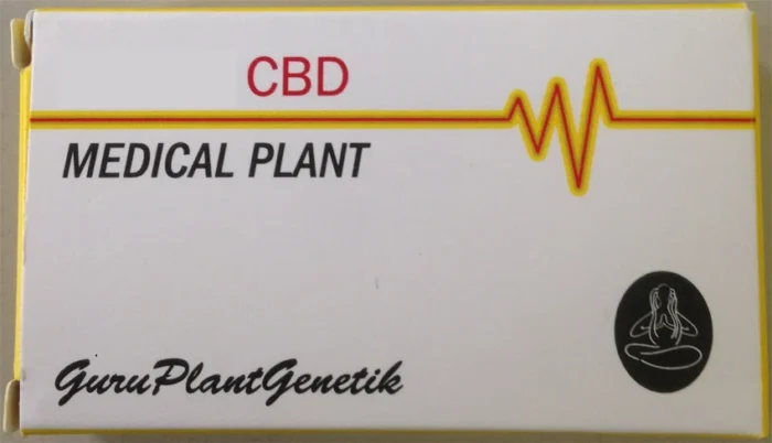 GURU PLANT GENETIK - EQUILIBRUM CBD FEM | 5 SEMILLAS - Imagen 2