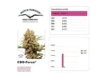 DUTCH PASSION - CBG-FORCE FEM - Imagen 3
