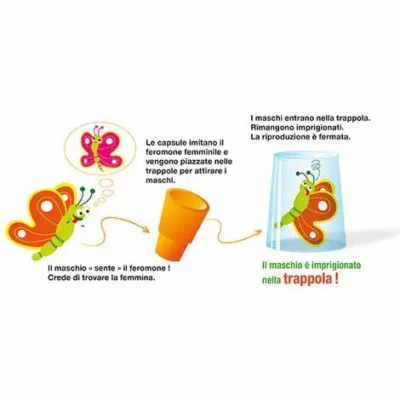 PHÉROMONE CONTRE LE VER DE L'OLIVIER ET LA MOUCHE DE L'OLIVIER – Image 2