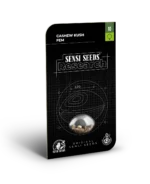 SENSI SEEDS RESEARCH - CASHEW KUSH FEM | 3 SEMI - immagine 2