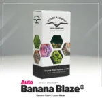 DUTCH PASSION - AUTO BANANA BLAZE – Image 2