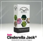 DUTCH PASSION - AUTO CINDERELLA JACK - immagine 2