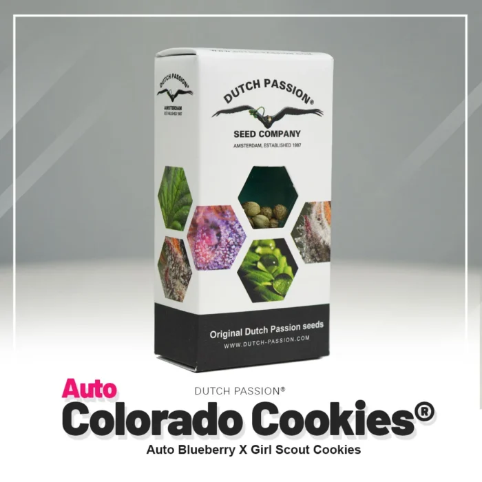 DUTCH PASSION - AUTO COLORADO COOKIES® FEM – Image 2