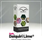 DUTCH PASSION - AUTO DAIQUIRI LIME® FEM - Image 2