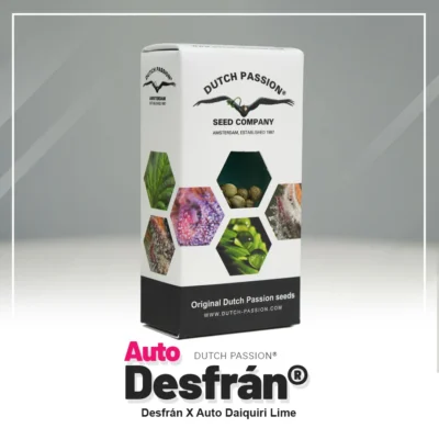 DUTCH PASSION - AUTO DESFRAN FEM - Imagen 2