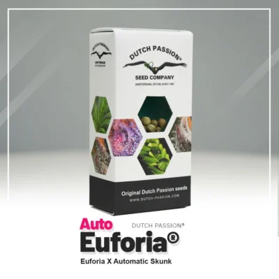 HOLLÄNDISCHE LEIDENSCHAFT - AUTO EUPHORIA FEM – Bild 2