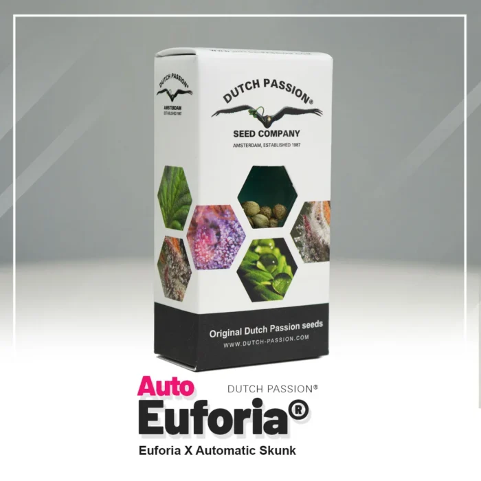 DUTCH PASSION - AUTO EUPHORIA FEM – Image 2