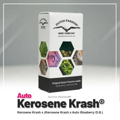 DUTCH PASSION - AUTO KEROSENE KRASH FEM - immagine 2