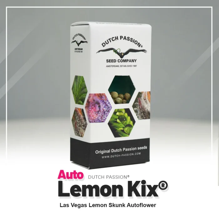 DUTCH PASSION - AUTO LEMON KIX FEM - (anciennement AUTO LEMON ZKITTLE) – Image 2