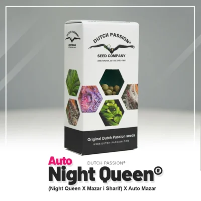 DUTCH PASSION - AUTO NIGHT QUEEN® FEM - immagine 2