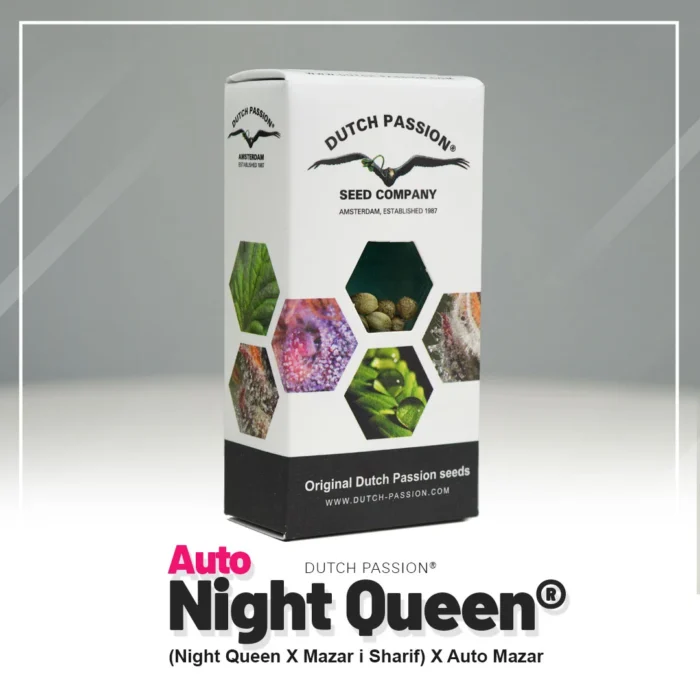 DUTCH PASSION - AUTO NIGHT QUEEN® FEM – Image 2