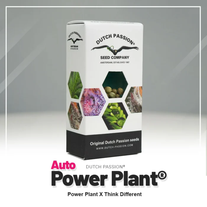 DUTCH PASSION - AUTO POWER PLANT FEM - Imagen 2