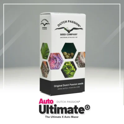 DUTCH PASSION - AUTO ULTIMATE FEM - Imagen 2