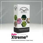 DUTCH PASSION - AUTO XTREME FEM – Image 2