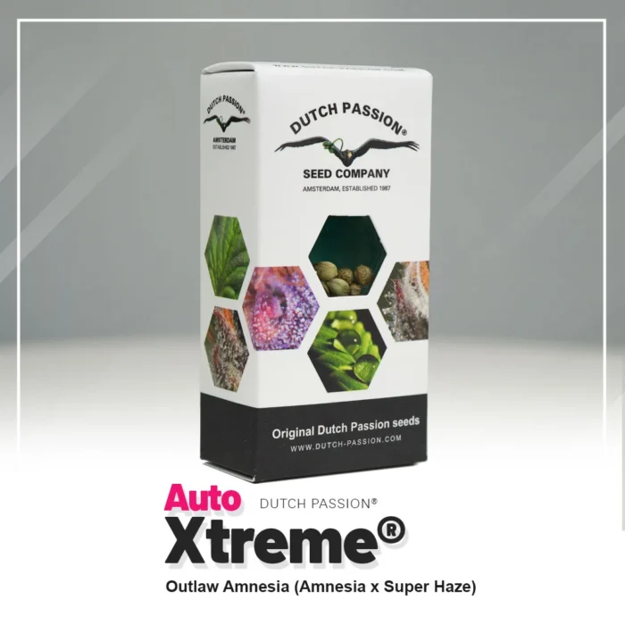 DUTCH PASSION - AUTO XTREME FEM – Image 2