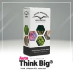 NIEDERLÄNDISCHE LEIDENSCHAFT - AUTO THINK BIG® FEM – Bild 2