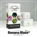 DUTCH PASSION - BANANA BLAZE FEM - immagine 2